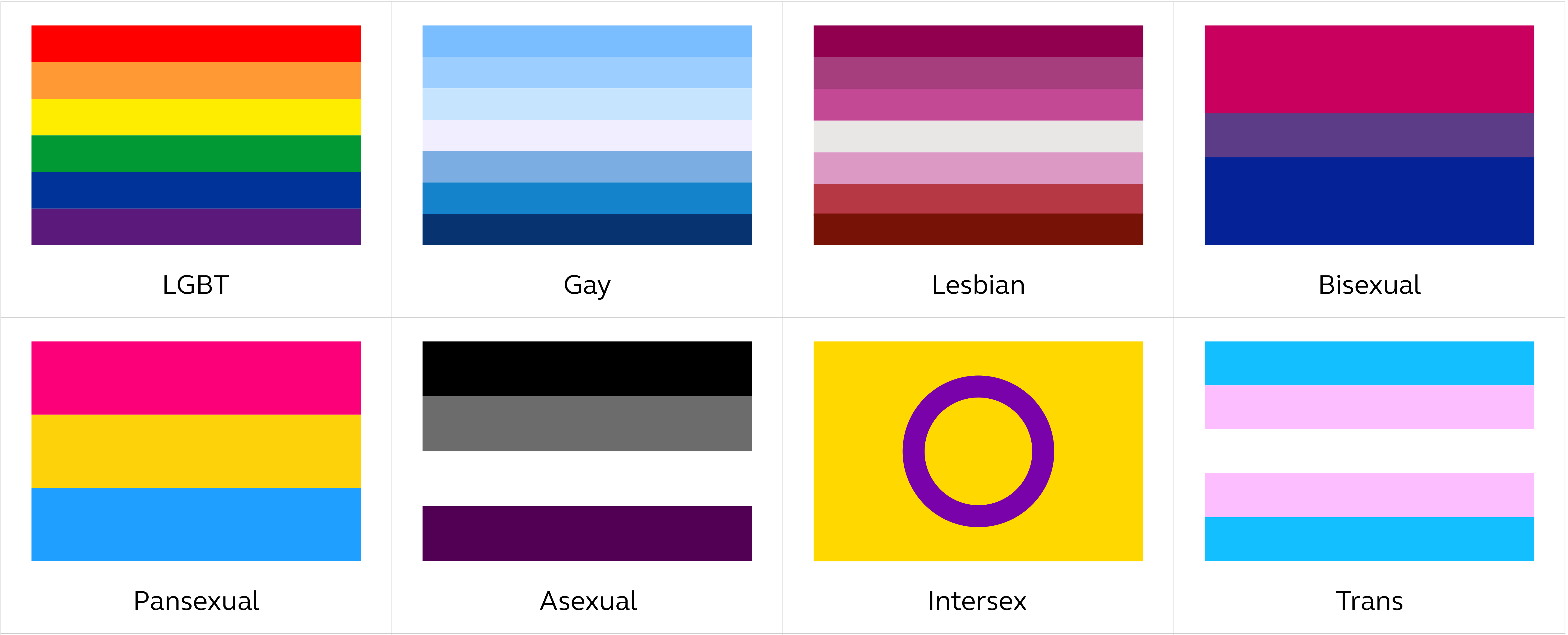 What Does The Pony Lgbt Flag Mean